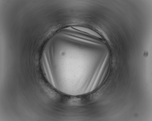 X0000091920257200709261649