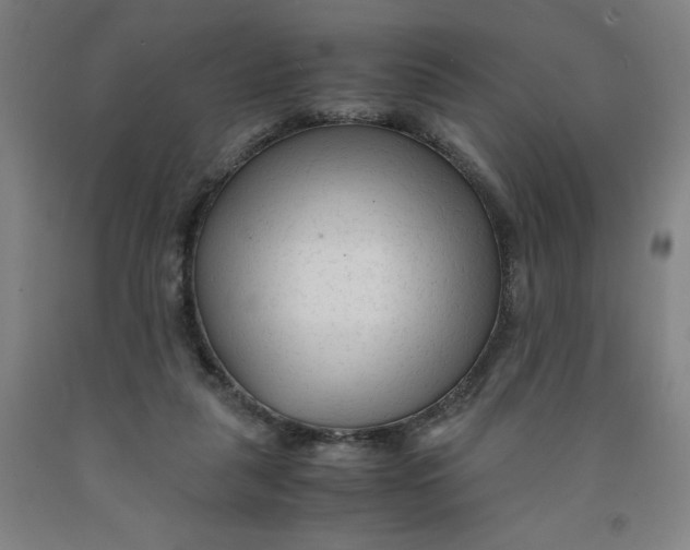 X0000091920259200709261649