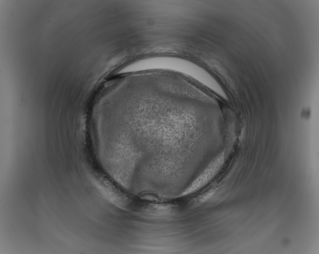 X0000091920260200709261649