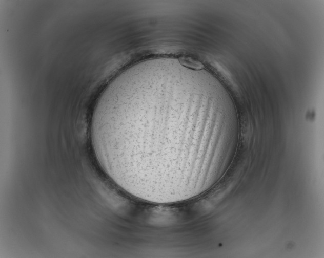 X0000091920261200709261649