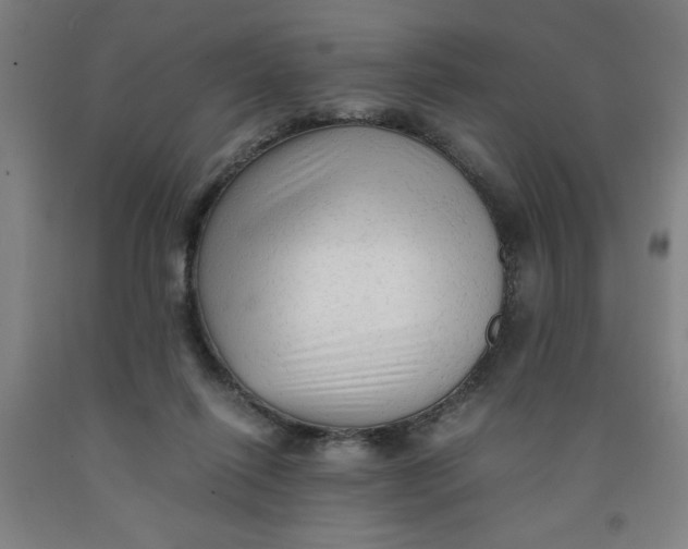 X0000091920262200709261649