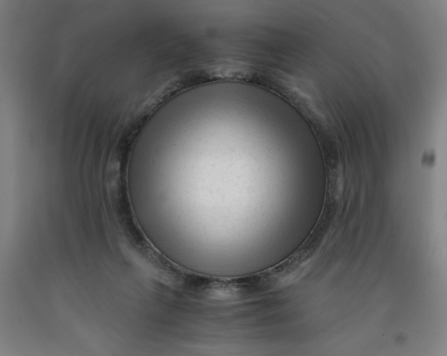 X0000091920263200709261649