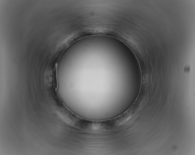 X0000091920264200709261649