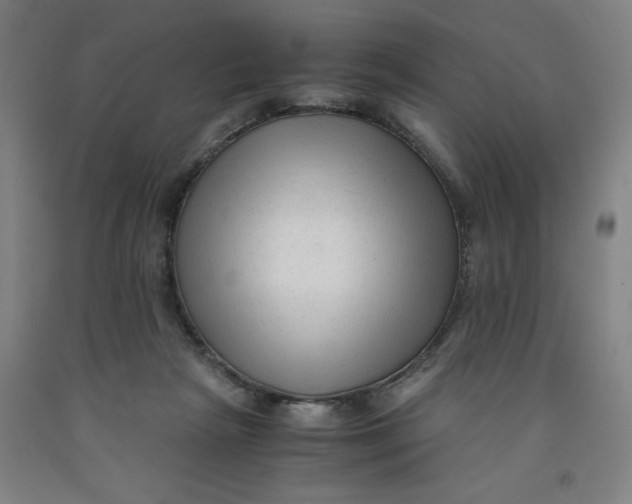 X0000091920265200709261649