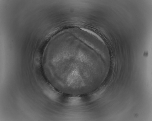 X0000091920266200709261649