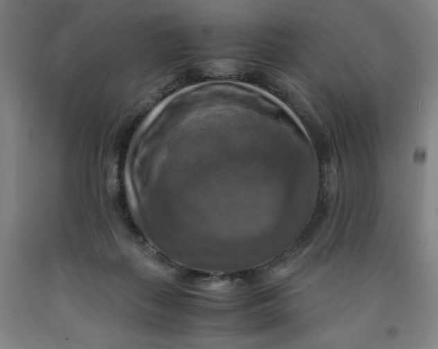 X0000091920267200709261649