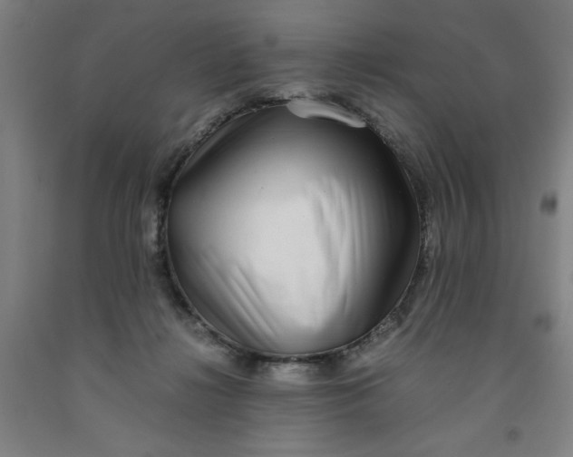 X0000091920268200709261649