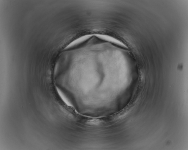 X0000091920269200709261649