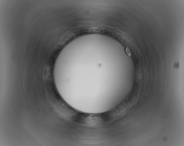 X0000091920270200709261649