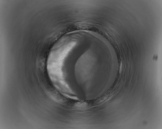 X0000091920271200709261649