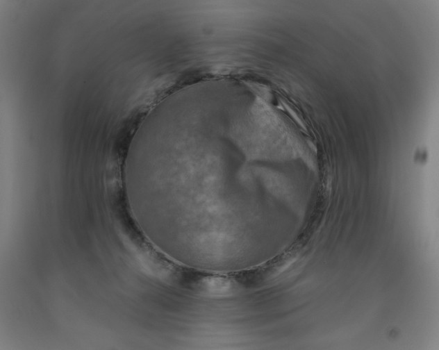 X0000091920272200709261649