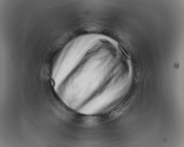 X0000091920273200709261649