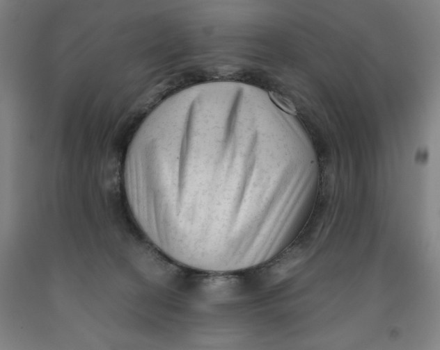 X0000091920274200709261649