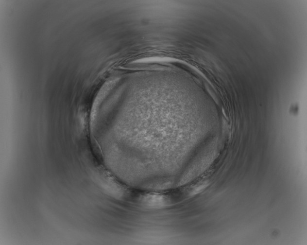 X0000091920276200709261649