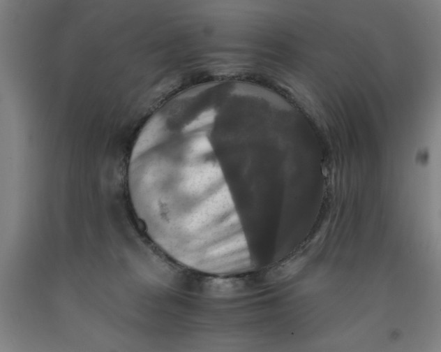 X0000091920277200709261649