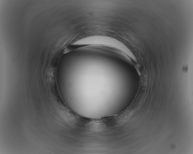 X0000091920280200709261649