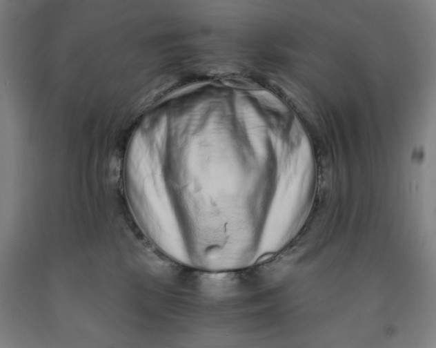 X0000091920281200709261649