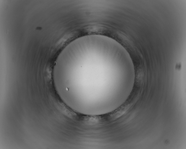 X0000091920282200709261649