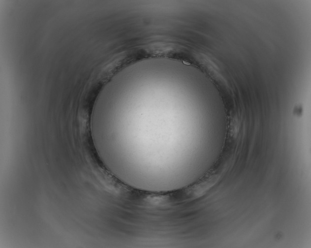 X0000091920283200709261649