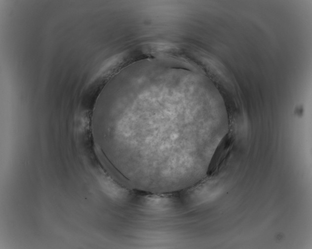 X0000091920284200709261649