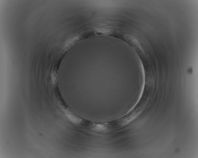 X0000091920285200709261649