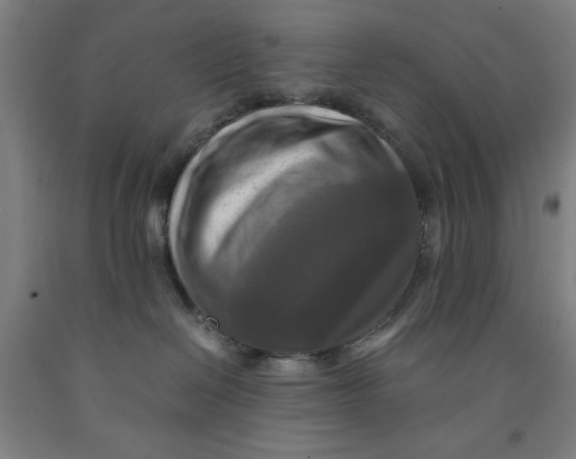 X0000091920286200709261649