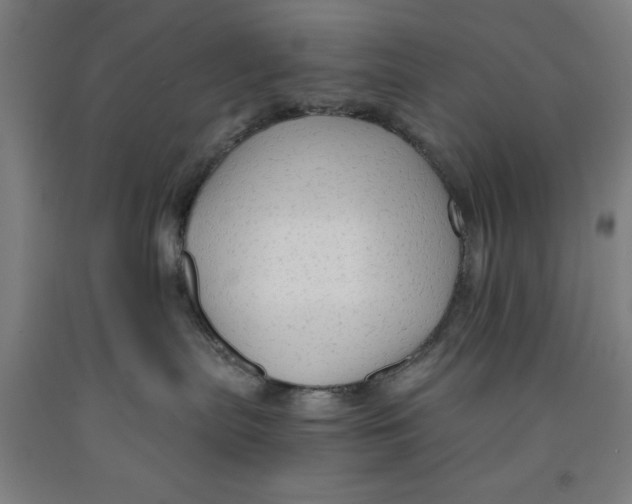 X0000091920287200709261649