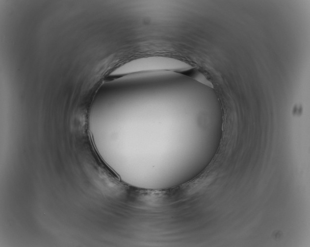 X0000091920288200709261649