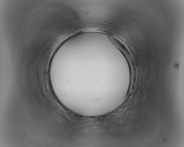 X0000091920289200709261648