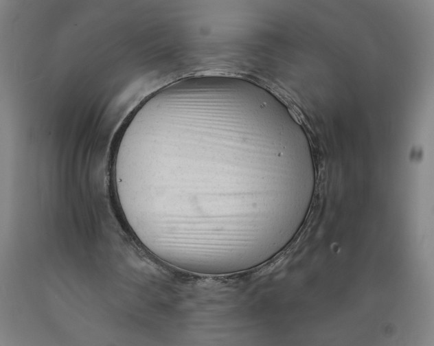 X0000091920290200709261648