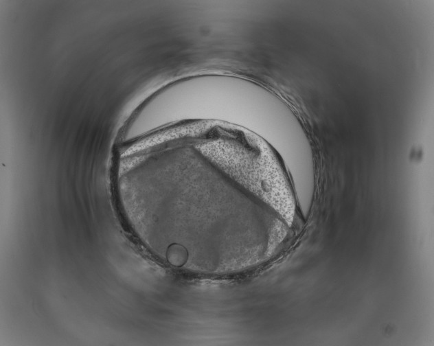 X0000091920292200709261648