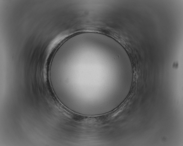 X0000091920294200709261648