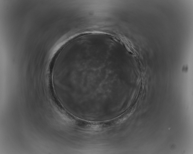 X0000091920295200709261648