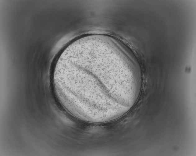 X0000091920296200709261648