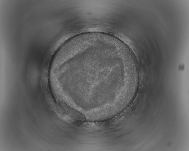 X0000091920297200709261648