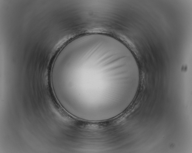 X0000091920298200709261648