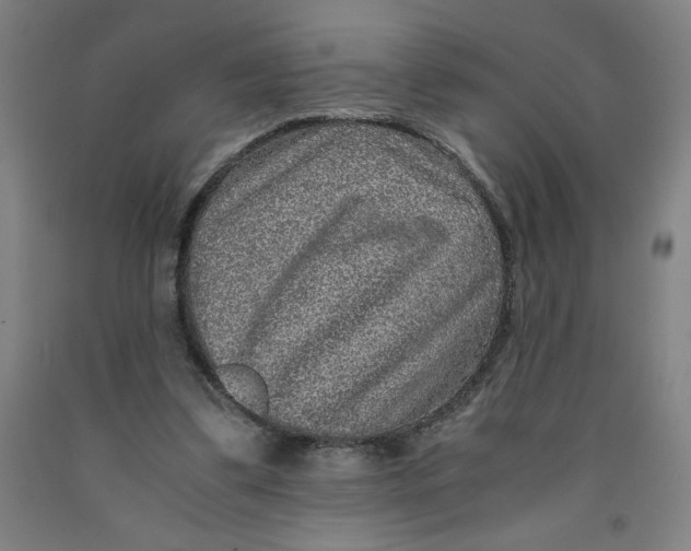 X0000091920299200709261648