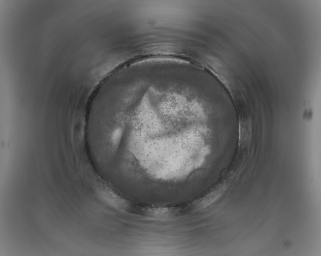 X0000091920301200709261648