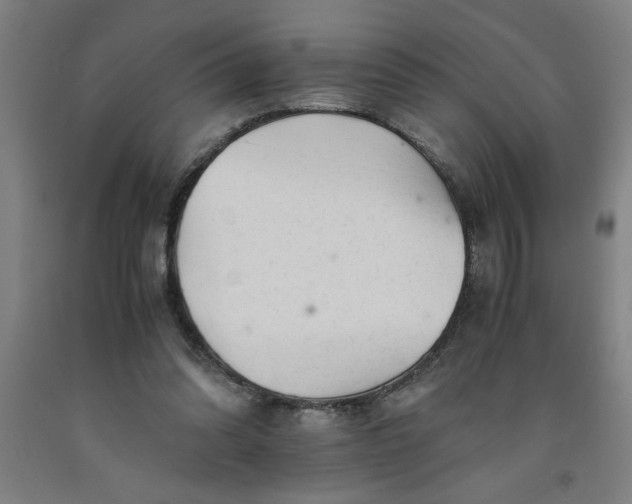 X0000091920302200709261648