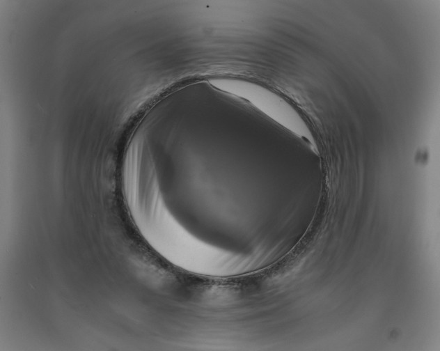 X0000091920303200709261648