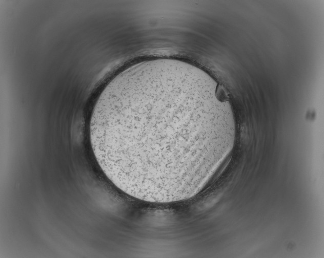 X0000091920304200709261648