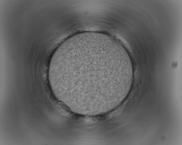 X0000091920305200709261648