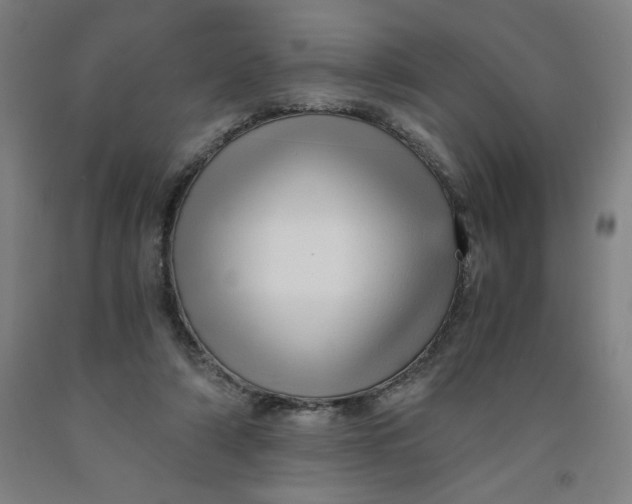 X0000091920306200709261648