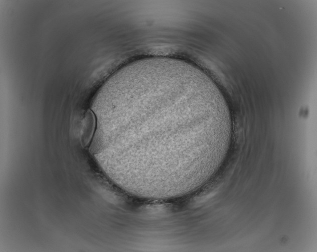 X0000091920307200709261648