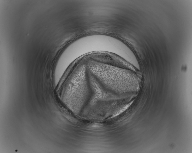 X0000091920308200709261648