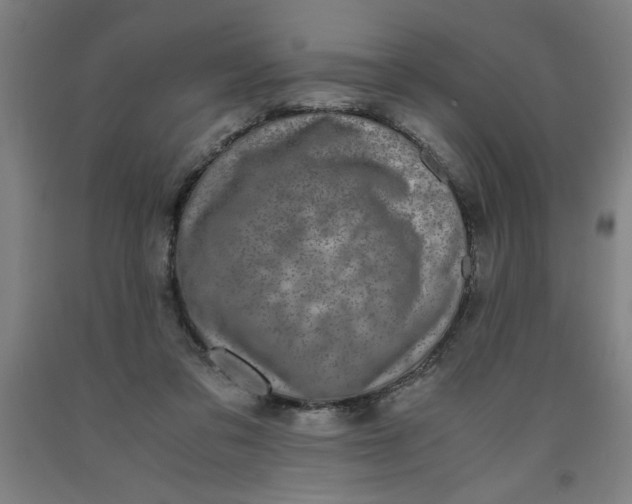 X0000091920309200709261648