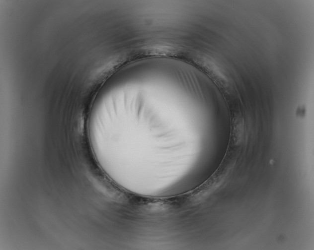 X0000091920310200709261648