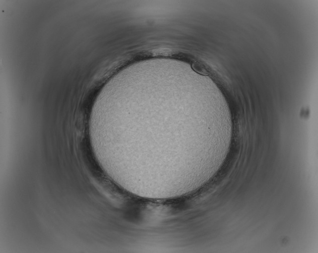 X0000091920311200709261648