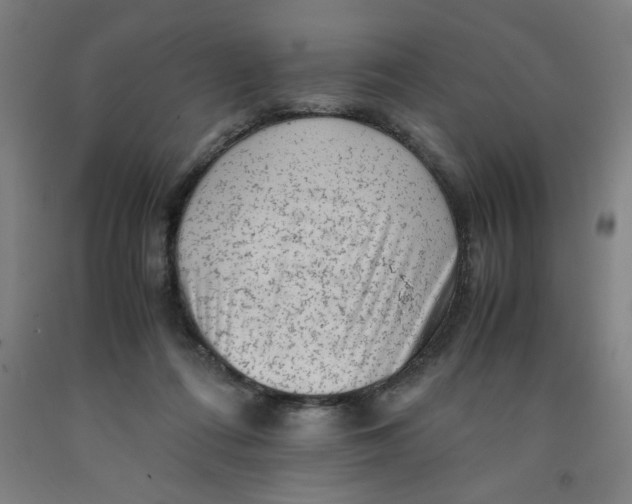 X0000091920312200709261648