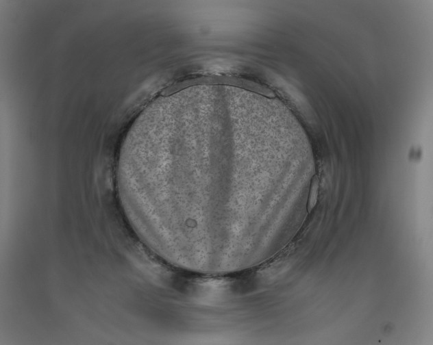 X0000091920313200709261648